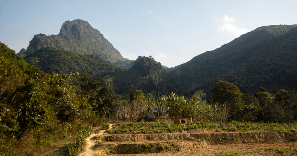 Views as you approach Tad Mook Waterfalls