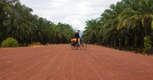 Cycling through a palm oil plantation in Thailand